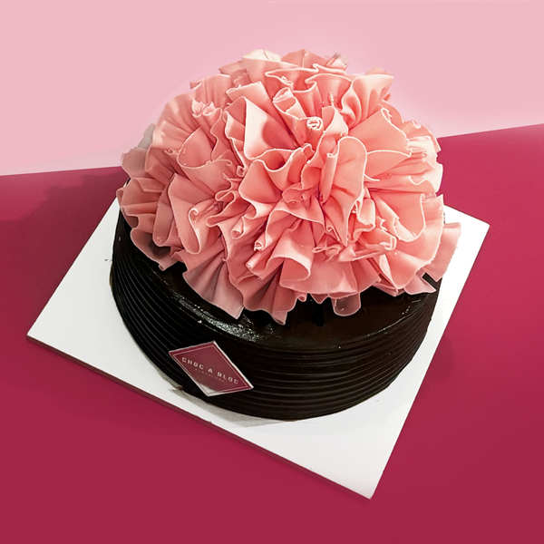 Mother's Day Special: Pink Carnation Flower
