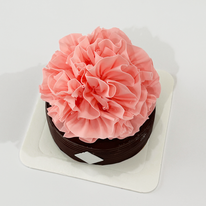 Mother's Day Special: Pink Carnation Flower