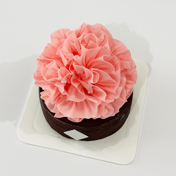 Mother's Day Special: Pink Carnation Flower